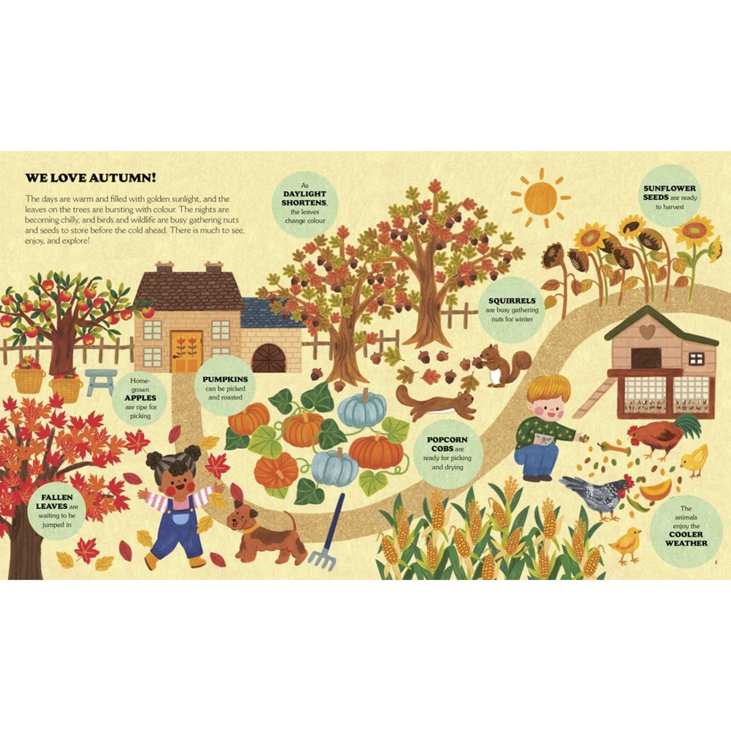 Little Country Cottage: An Autumn Treasury of Recipes, Crafts and Wisdom | Paperback | Children’s Book on Nature