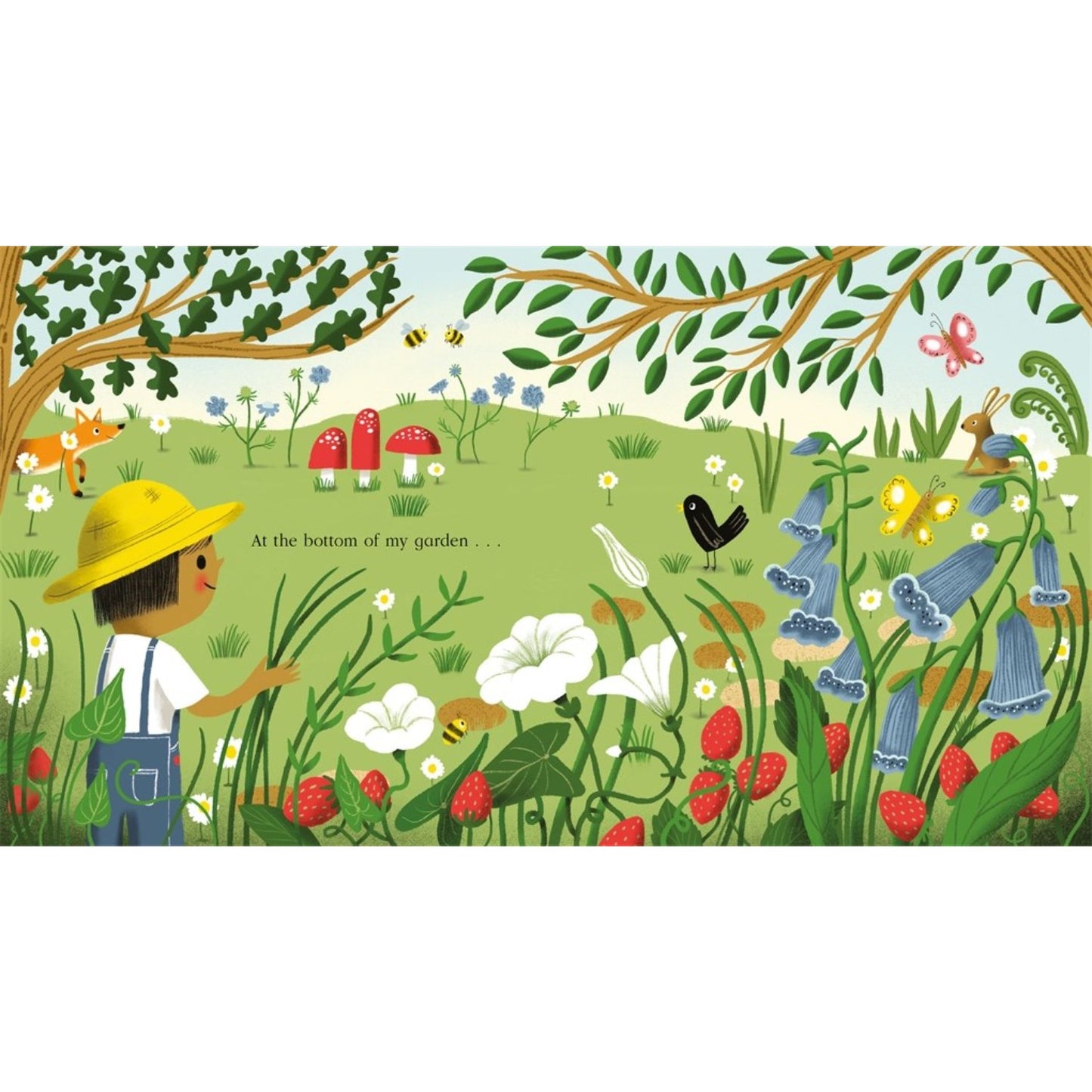 Nature Trail - A celebration of the natural wonders on our doorstep | Paperback | Children's Book on Nature