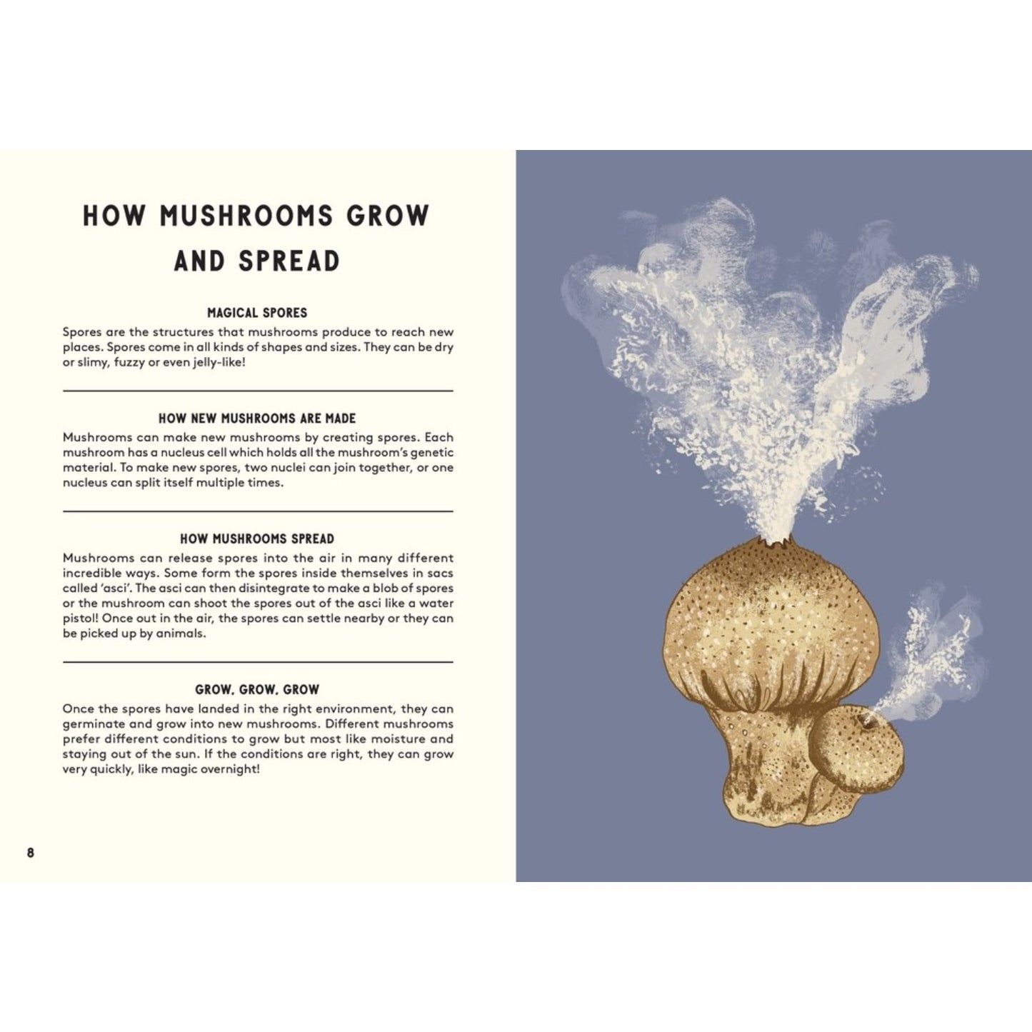 All About Mushrooms | Hardcover | Children's Book on Nature