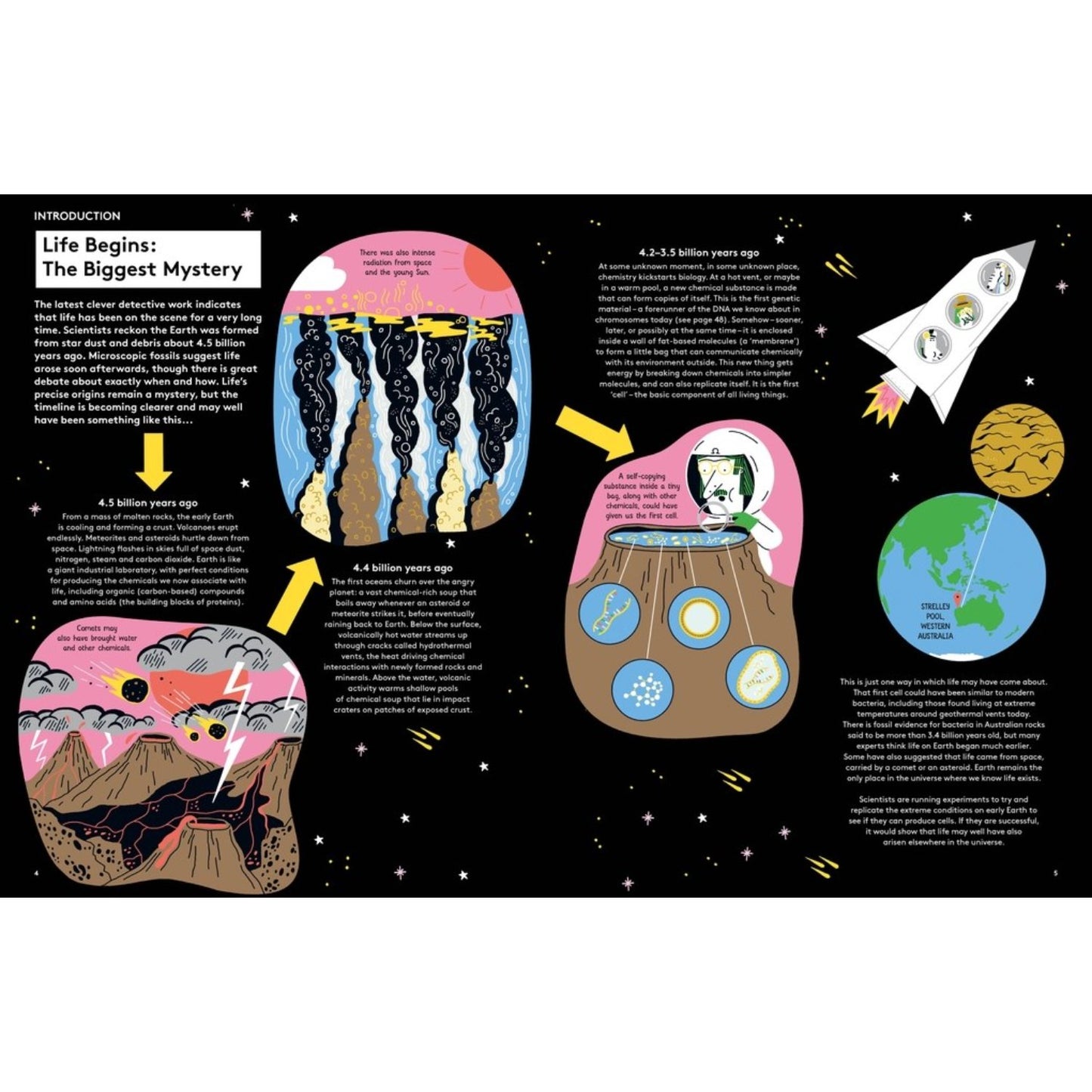 That's Life! - Looking for the Living Things All Around You | Paperback | Children's Book on Science