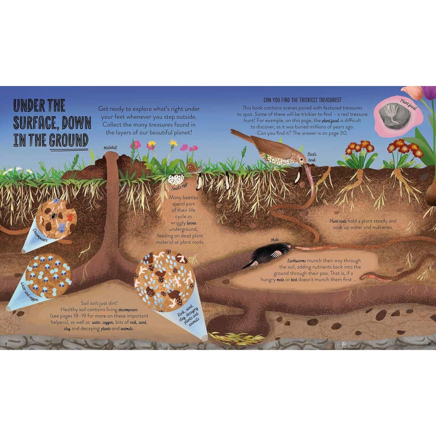 Under the Ground - Seek, find and celebrate nature's treasures with the Natural History Museum | Paperback | Children's Books on Nature