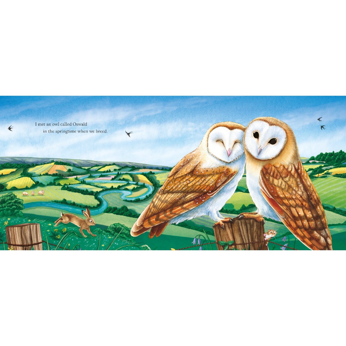 I am Emily the Owl - A tale from our wild and wonderful night skies | Hardcover | Children's Book