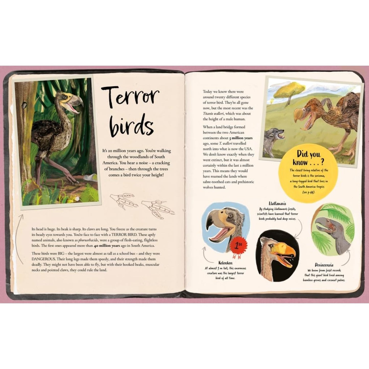 Chickens and Other Dinosaurs - How Dinosaurs Became the Birds We Know Today | Hardcover | Children's Book on Dinsaurs