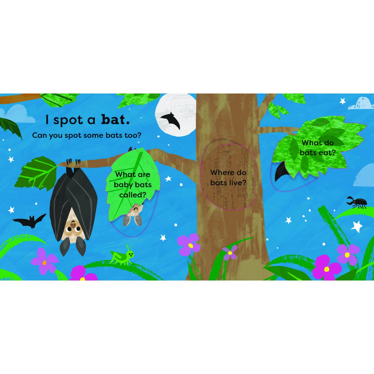 Sample pages (5) from 'National Trust: My Very First Spotter's Guide: I Spot A Bat' by Kay Vincent - toddler board book