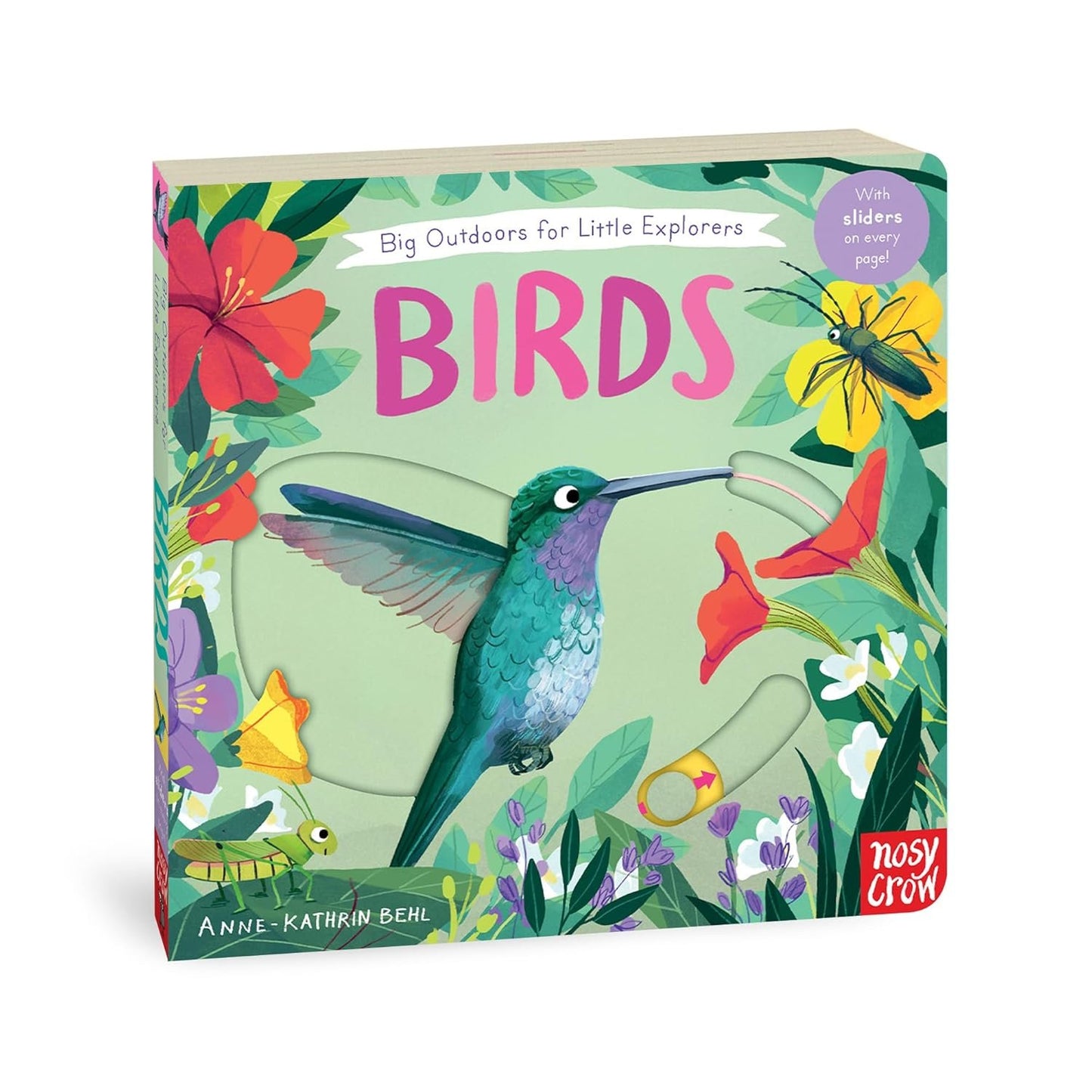 Birds - Big Outdoors for Little Explorers | Children's Activity & Interactive Books