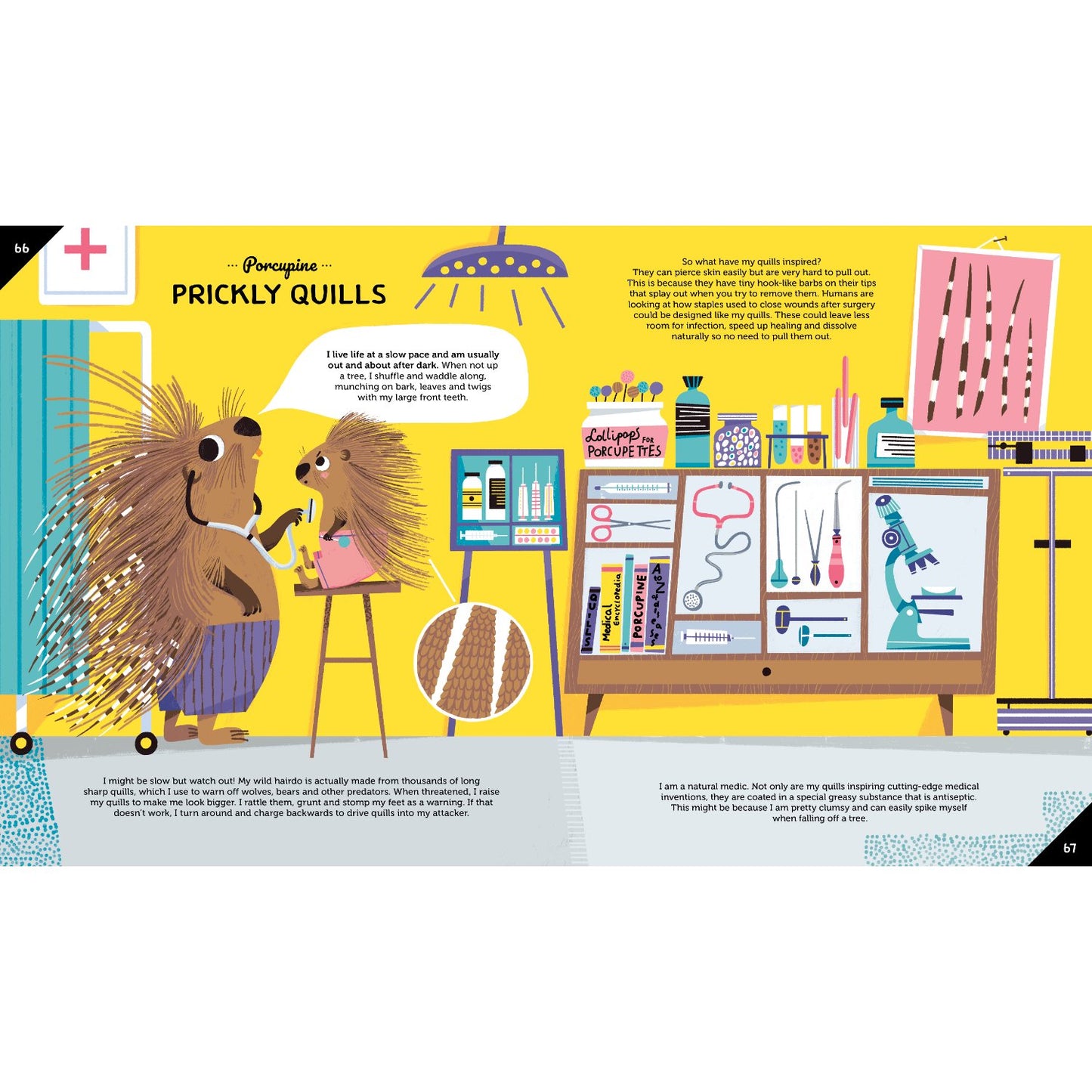 Invented by Animals - Meet the creatures who inspired our everyday technology | Paperback | Children's Book on Animals