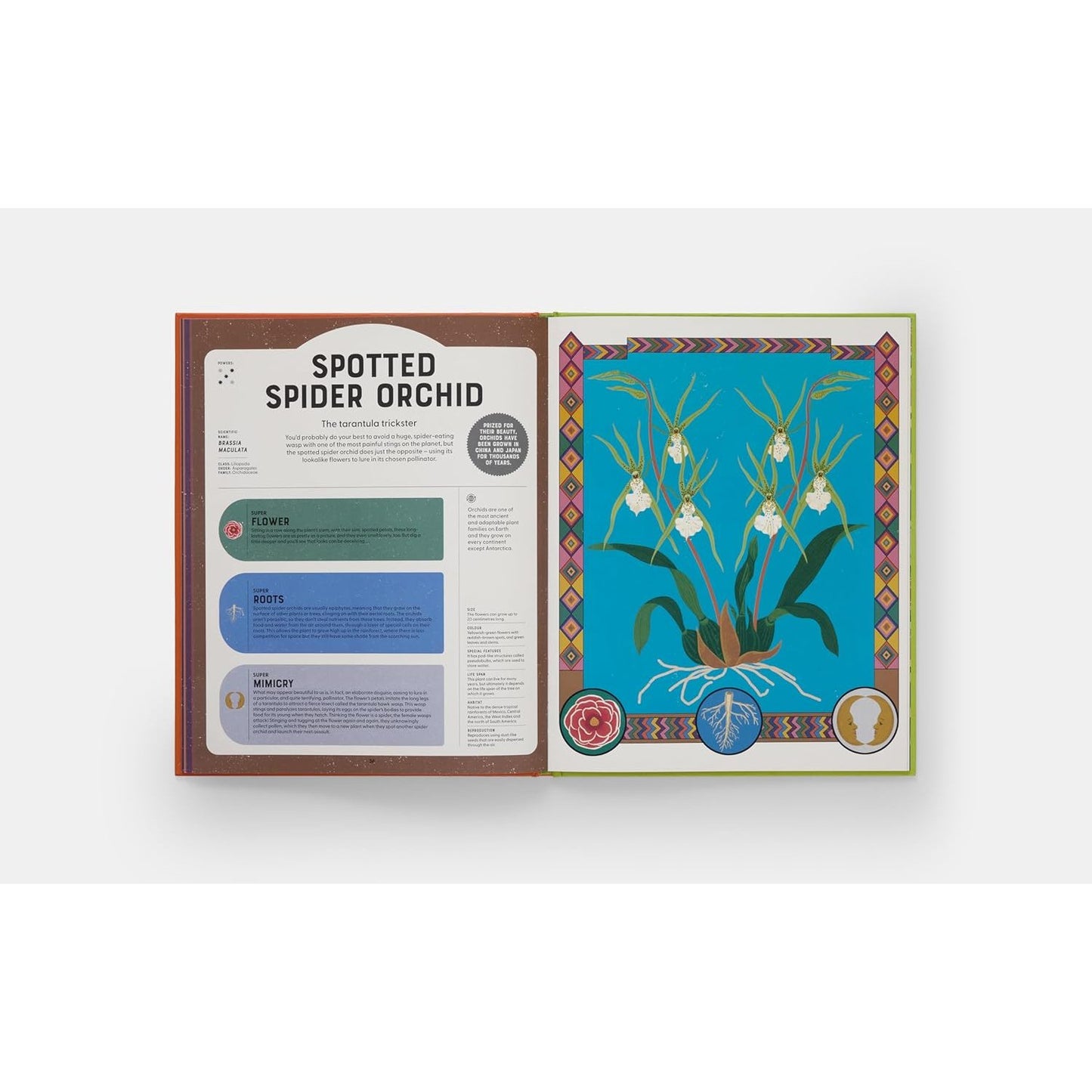 Superpowered Plants - Meet the Smartest, Strongest, and Sneakiest Plants | Hardcover | Children's Book