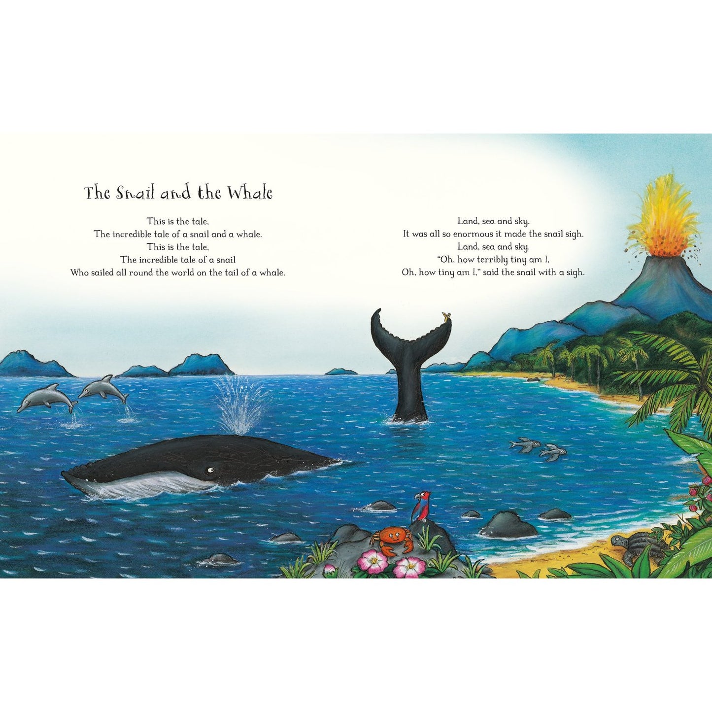 A Treasury of Songs | Paperback | Children's Activity Book