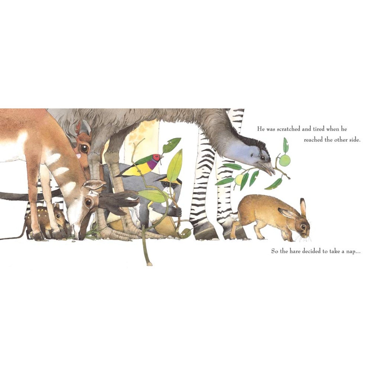 Hare and the Tortoise | Paperback | Children's Book