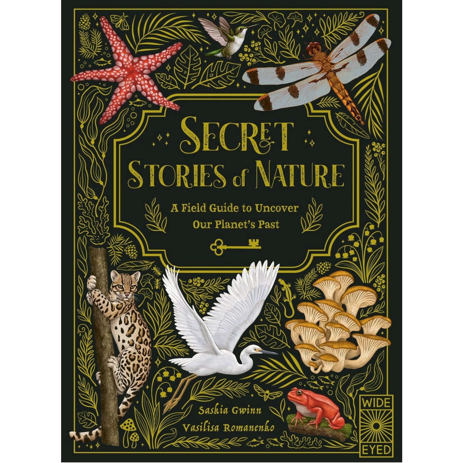 BeoVERDE　Stories　Book　Hardcover　at　of　Buy　Kids　price　best　Nature'　'Secret　Ireland