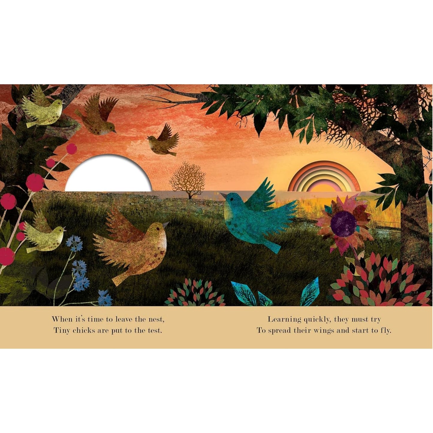 Family | Hardcover | Children's Book on Belonging