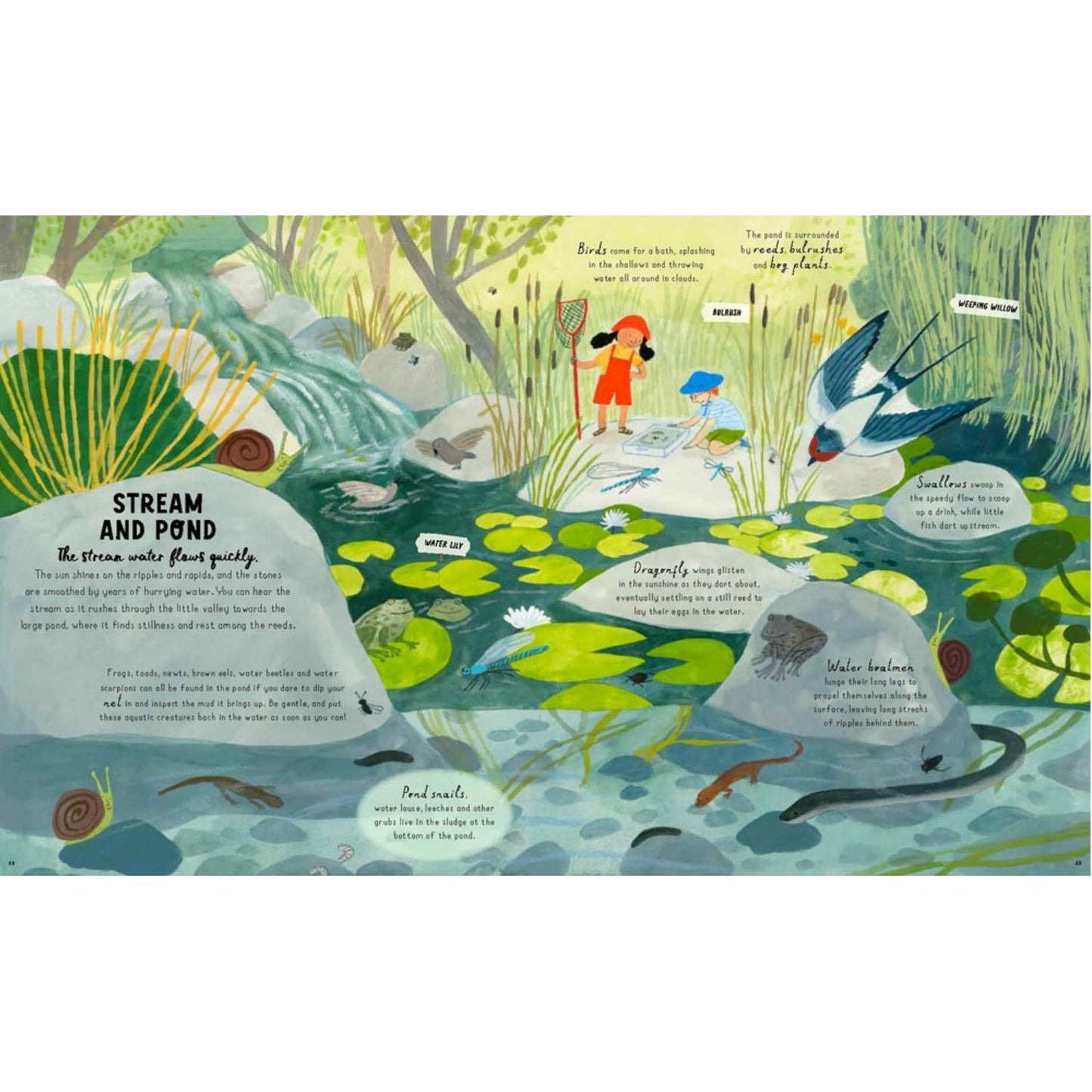 How to Grow a Garden: Find a Plant for Every Place | Hardcover | Children's Book on Gardening