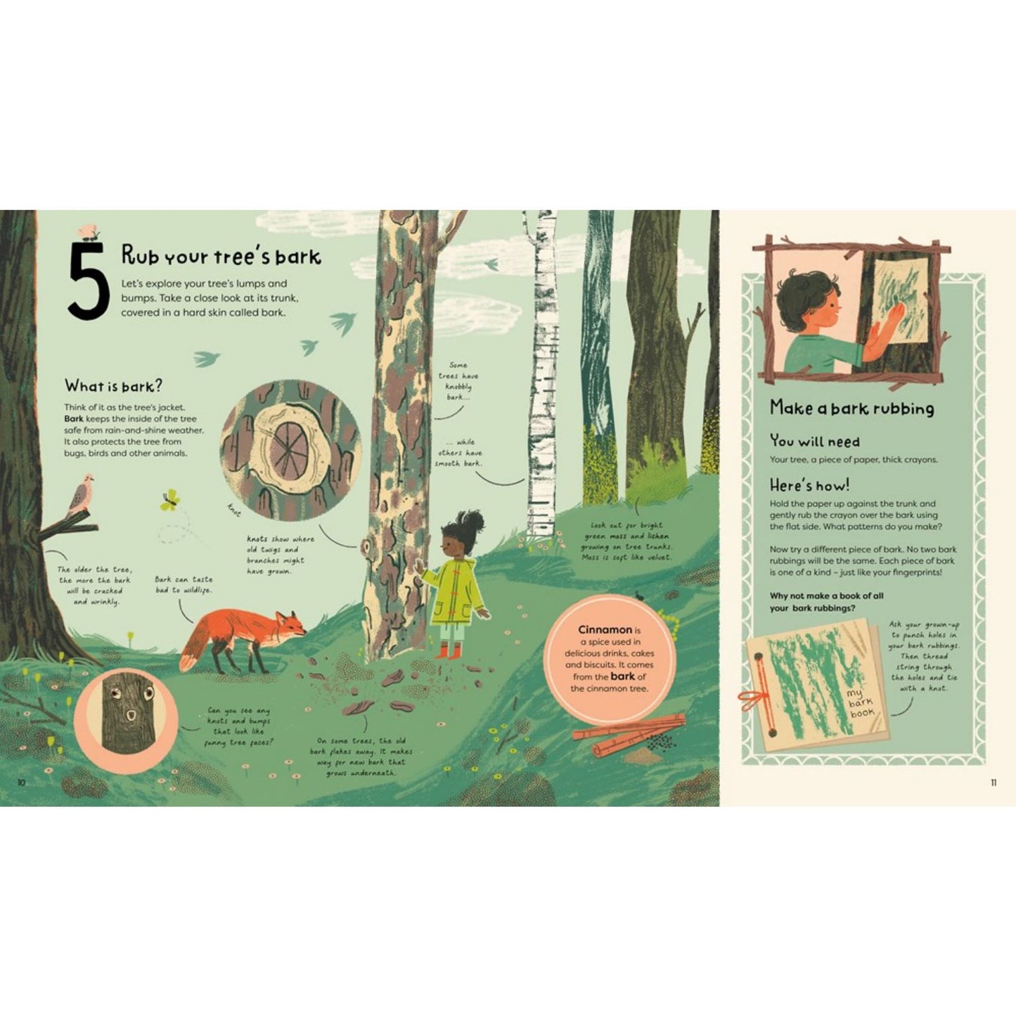 21 Things to Do With a Tree | Paperback | Children’s Book on Nature