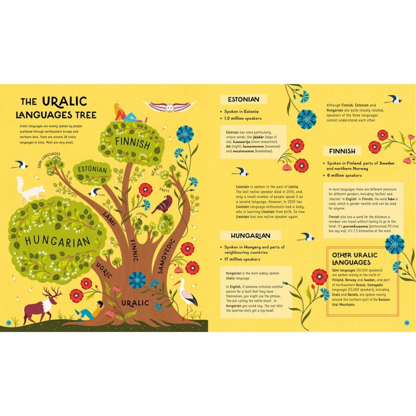 The Atlas of Languages | Hardcover | Children's Book on School & Learning