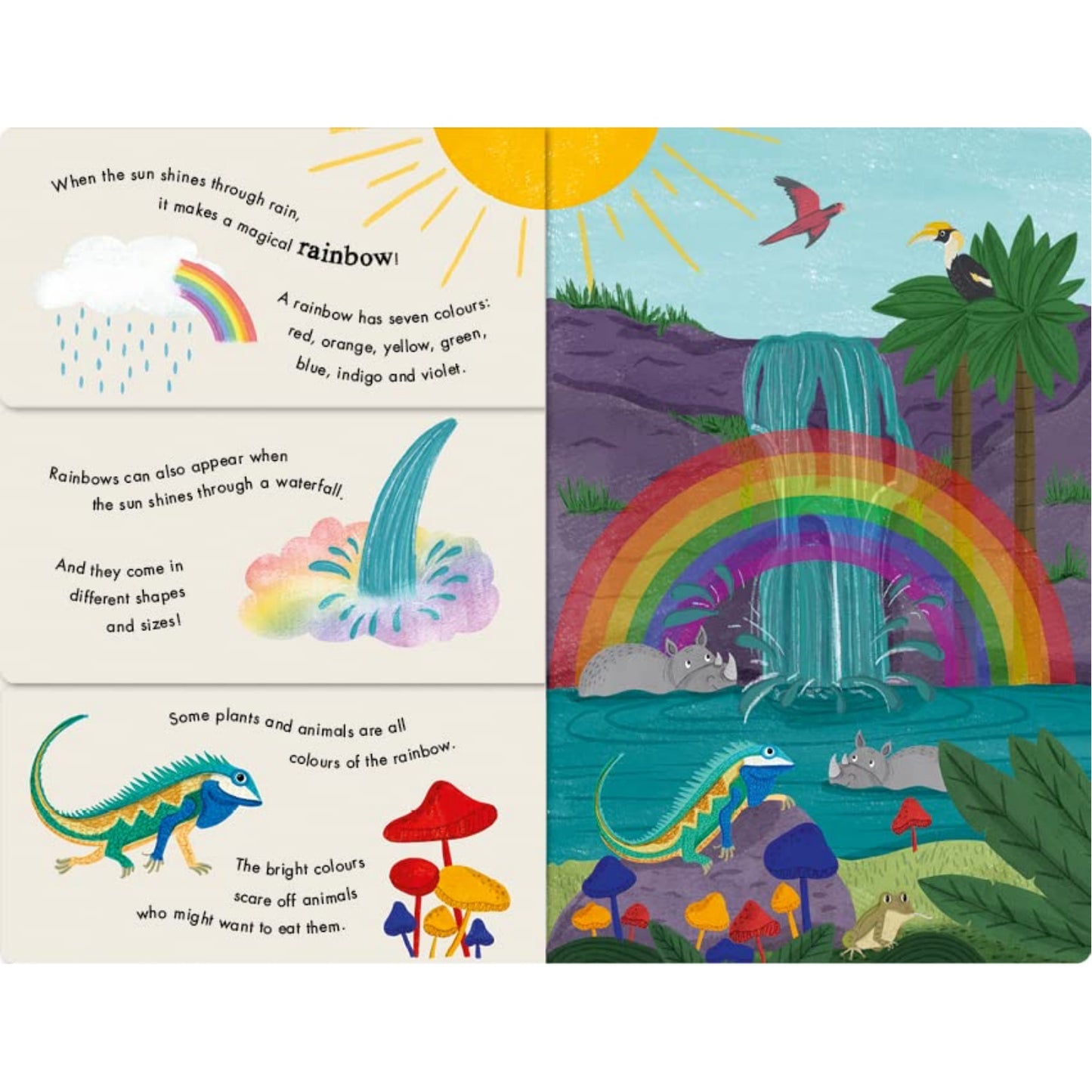 Rain & Shine: A Flip-Flap Book of Weather | Children's Board Book on Weather
