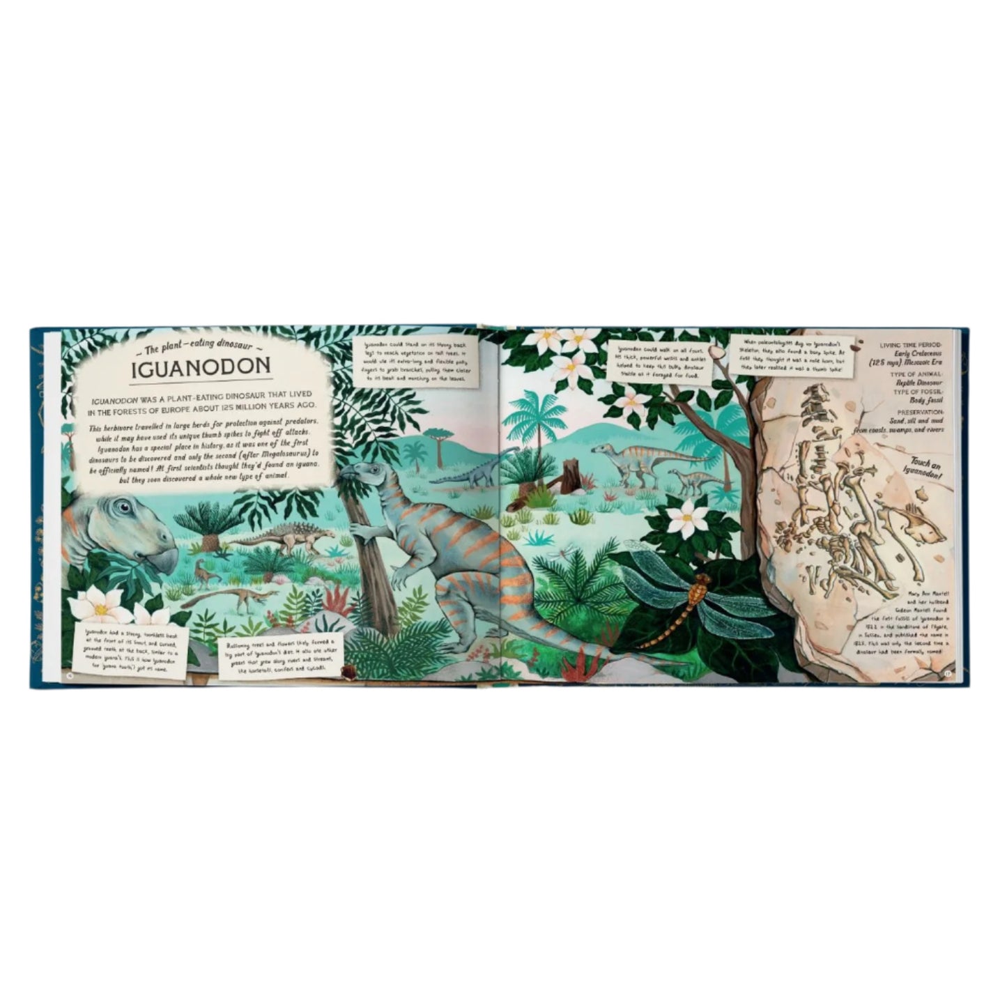 The Fossil Keeper's Treasure: With Amazing Fossils to Touch! | Hardcover | Children's Book on Dinosaurs & Prehistoric Life