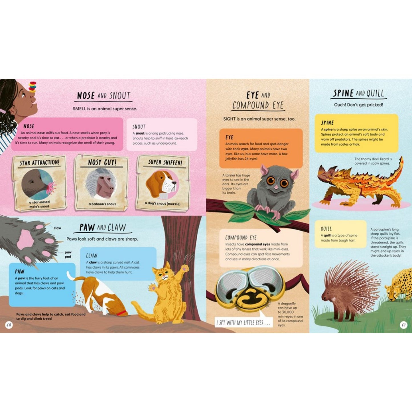 What's the Actually Factually Difference? | Hardcover | Children's Books on School & Learning