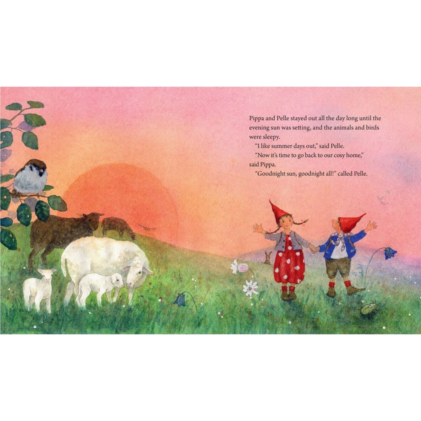 Pippa and Pelle in the Summer Sun | Daniela Drescher | Children’s Board Book