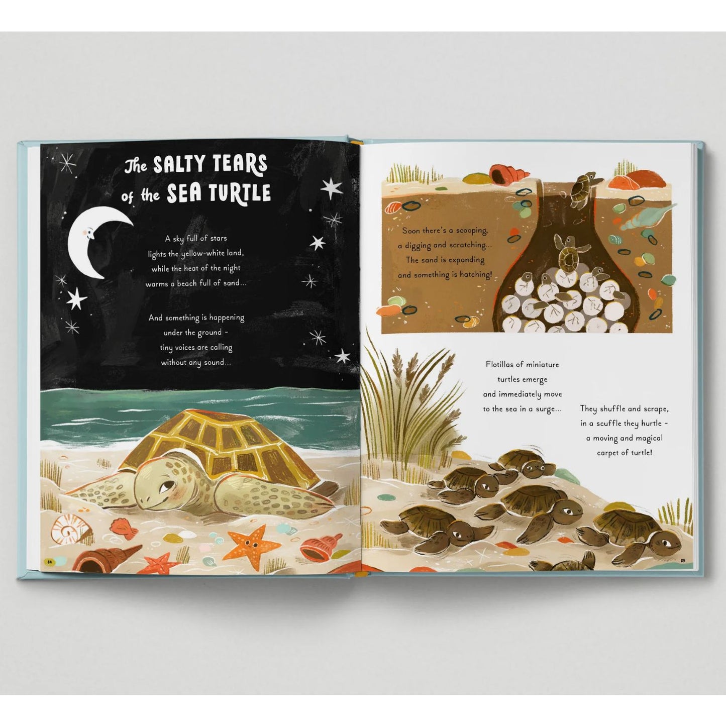 5 Minute Ocean Stories: True Tales from the Sea | Hardcover | Children's Books