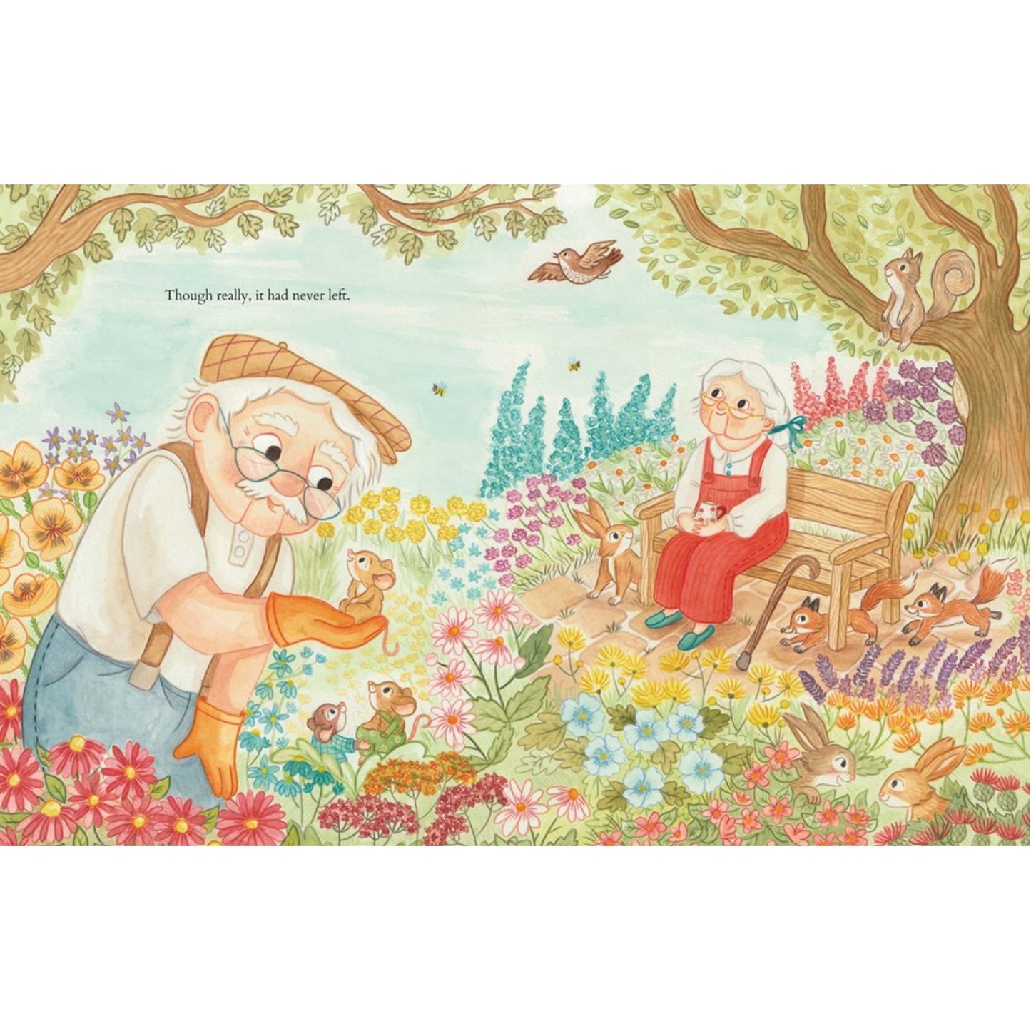 Love Grows Here | Paperback | Children's Books on Feelings & Emotions