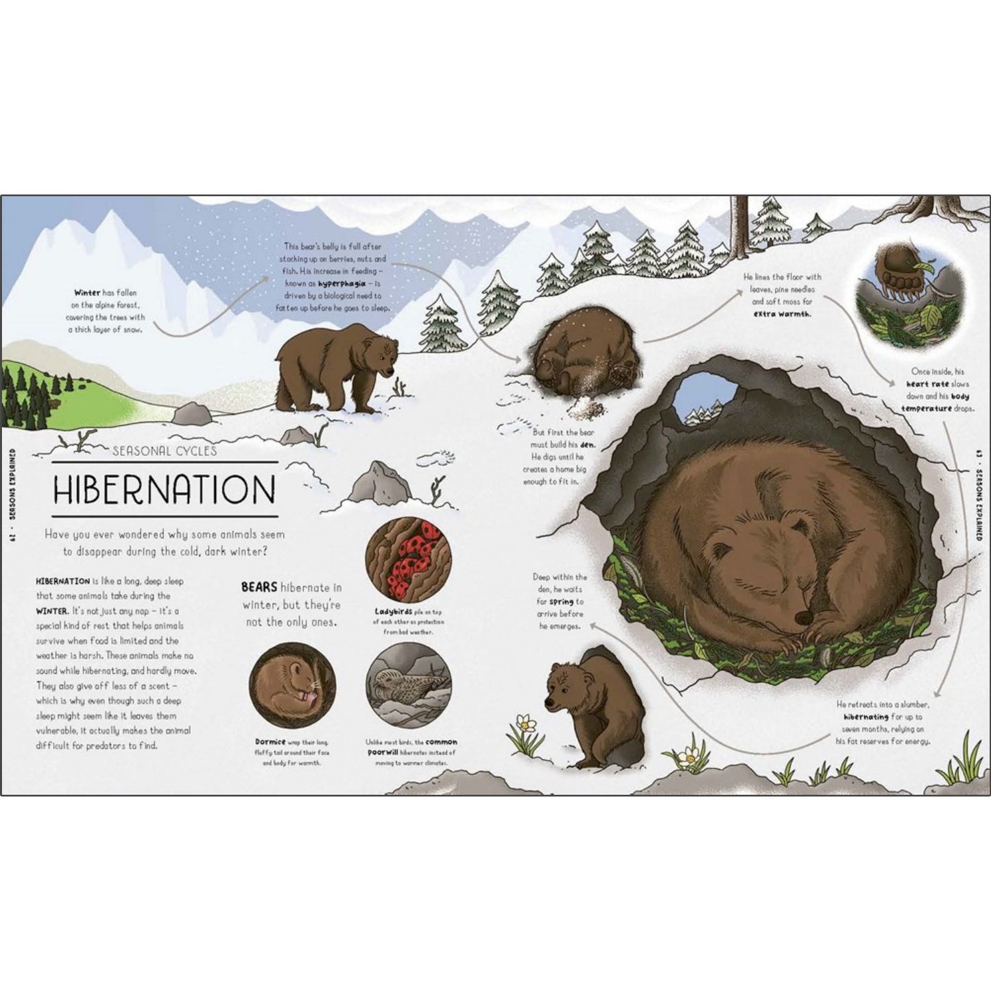 Nature Explained: A Family Guide to 20 Nature Cycles | Hardcover | Children's Book on Nature