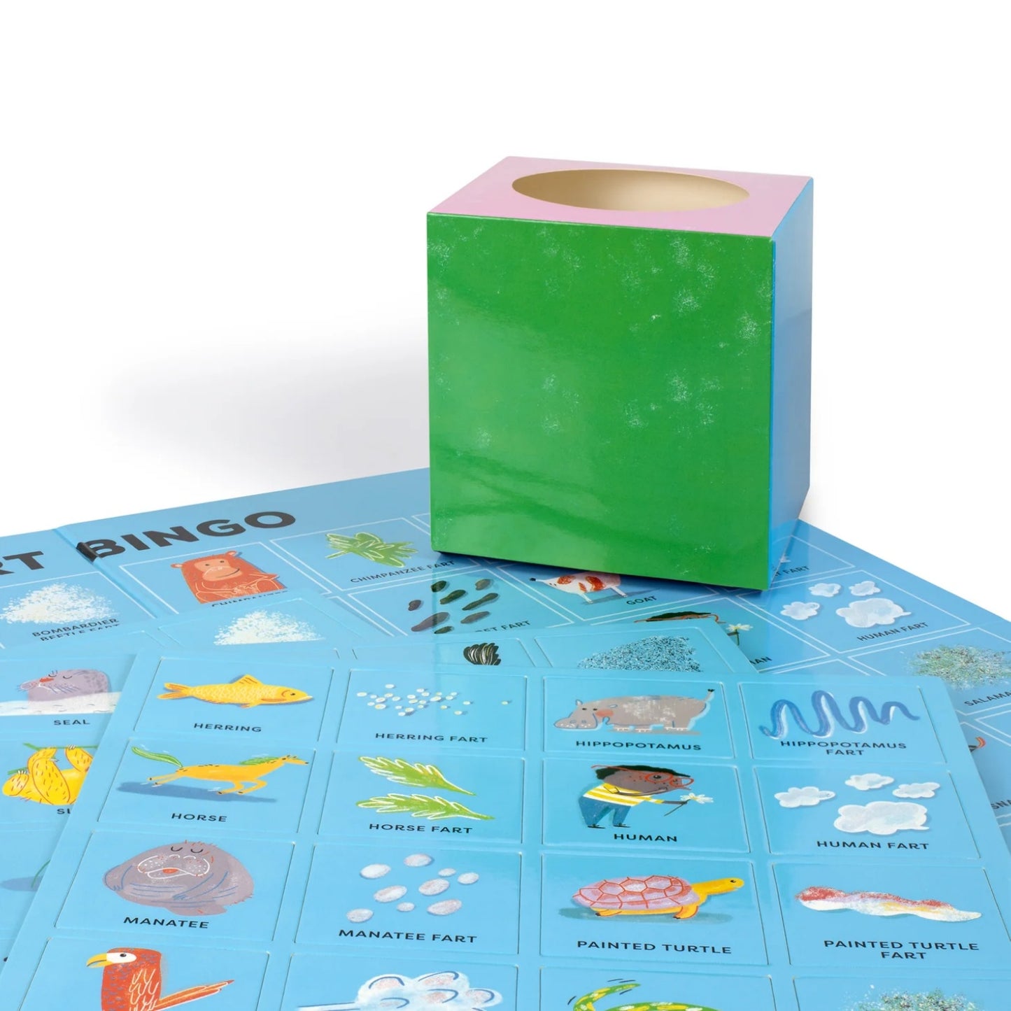Fart Bingo | Children's Bingo Sets