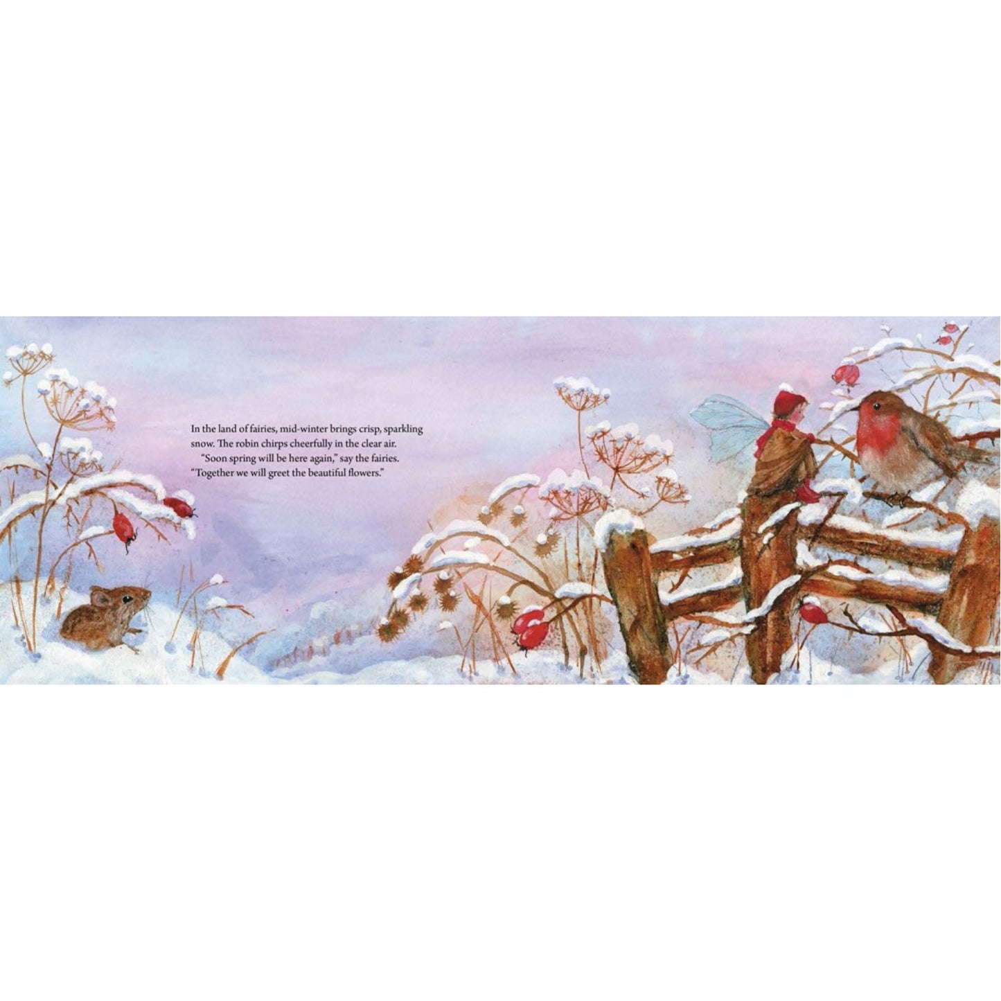 In the Land of Fairies | Daniela Drescher | Hardcover | Tales & Myths for Children