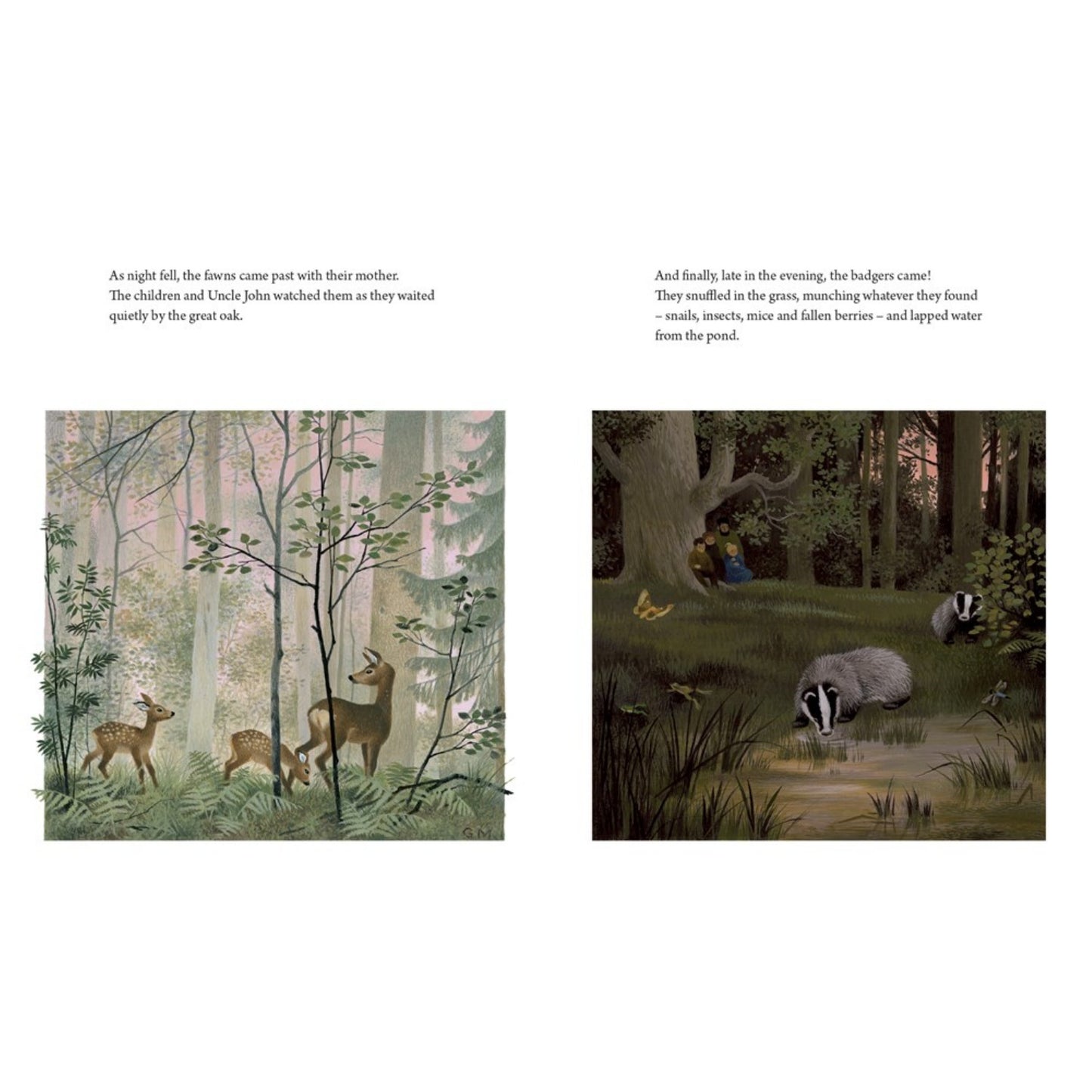 A Year Around the Great Oak | Gerda Muller | Hardcover | Children’s Book on Nature