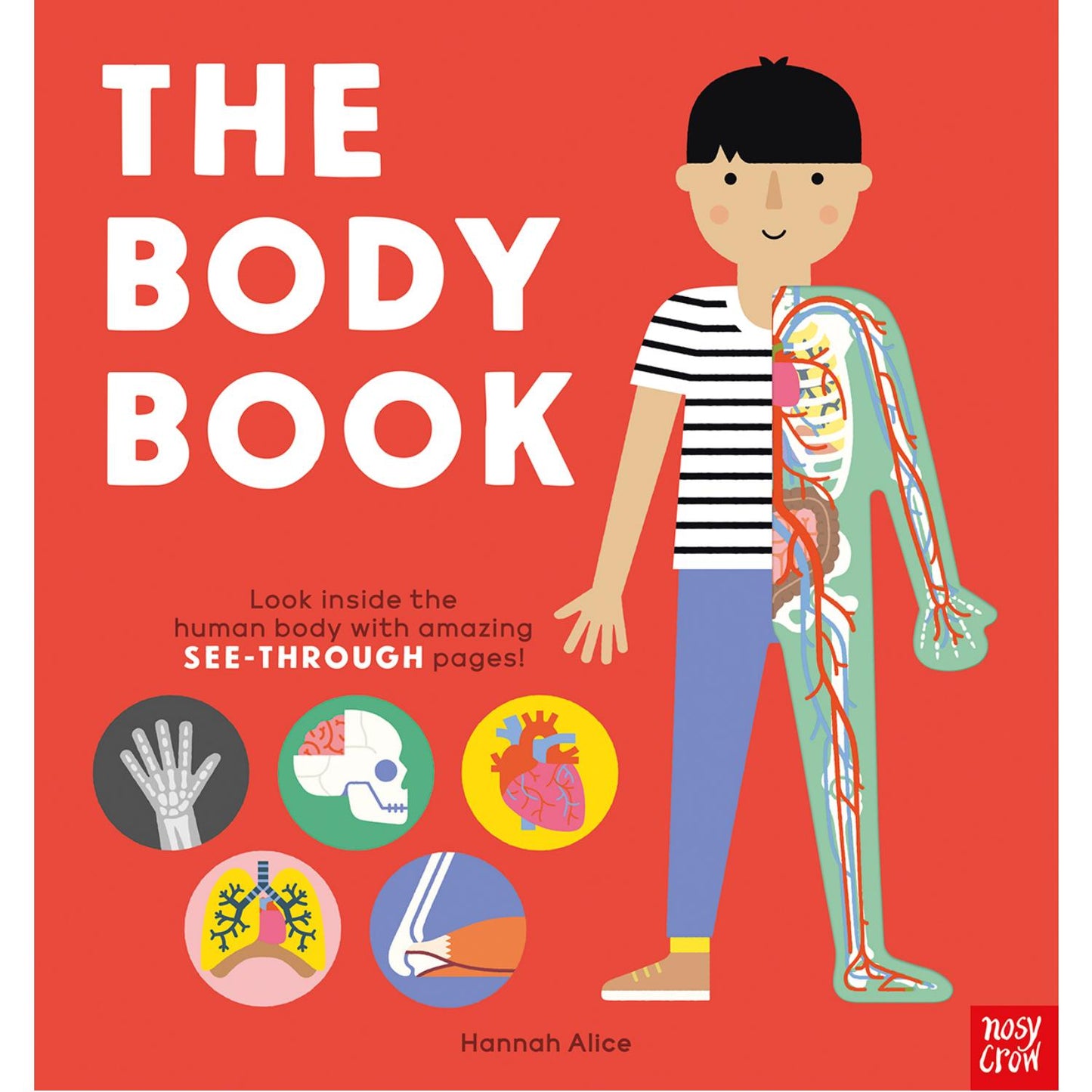 The Body Book | Board Book with See-Through Pages | Children's Book on Science