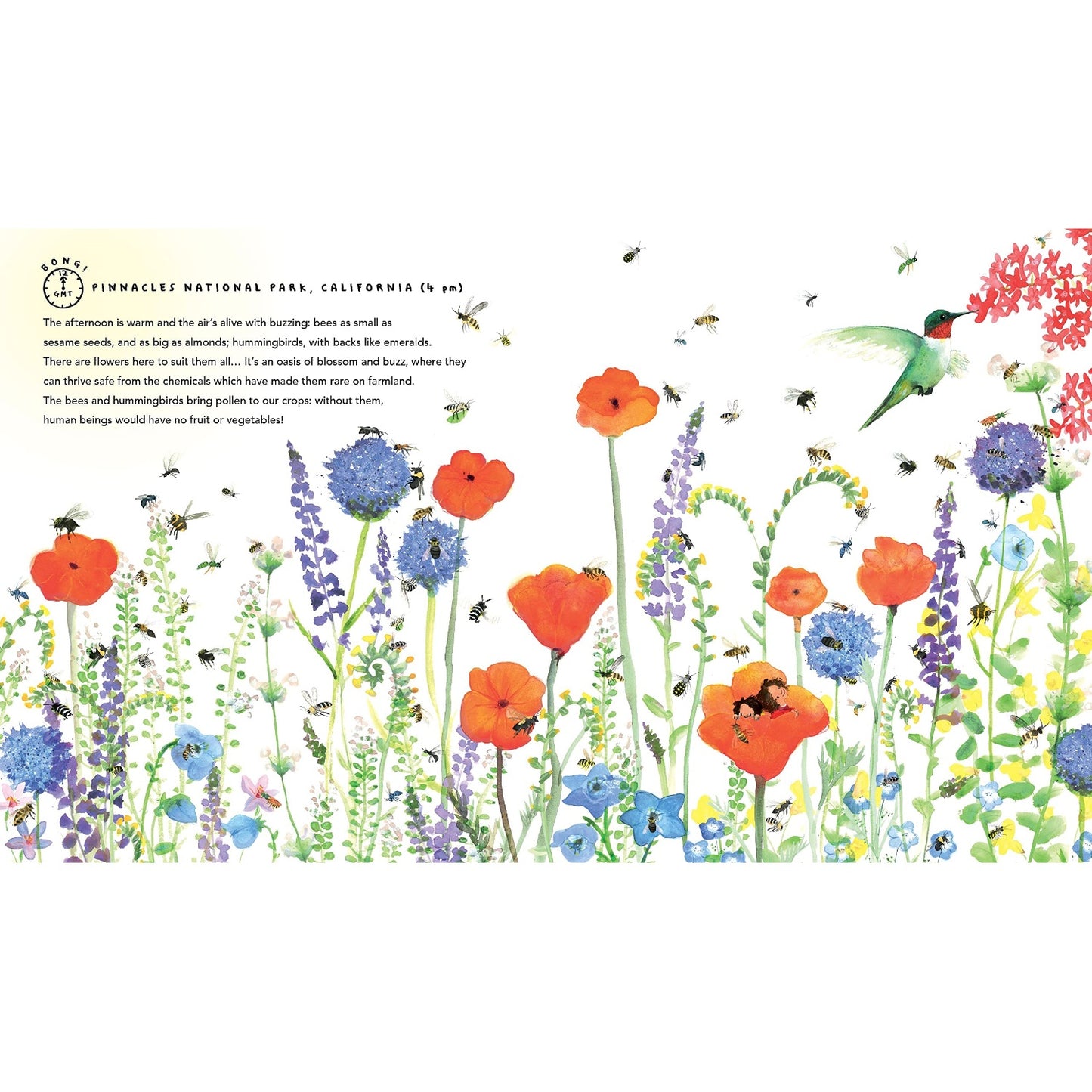 One World: 24 Hours on Planet Earth | Hardcover | Children’s Book on Nature