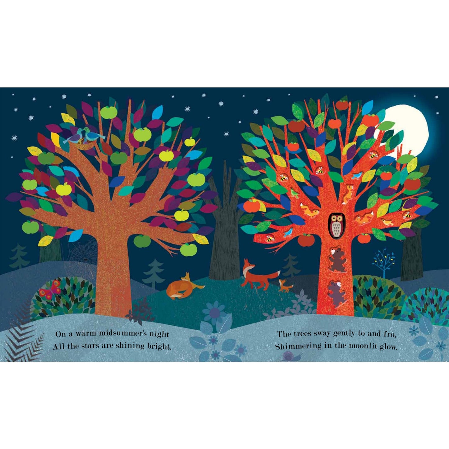 Tree: Seasons Come, Seasons Go | Paperback | Children’s Picture Book on Nature