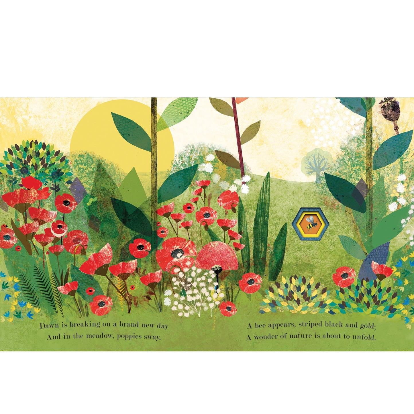 Bee: Nature's Tiny Miracle | Board Book | Children’s Board Book on Bees