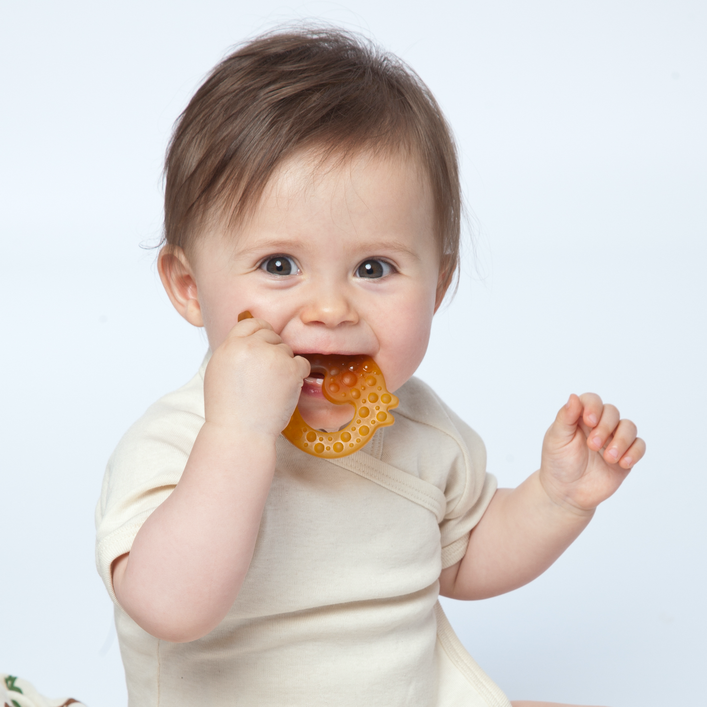 Grunspecht Turtle Organic Rubber Baby Teether | Lifestyle Teething Ring | BeoVERDE Ireland