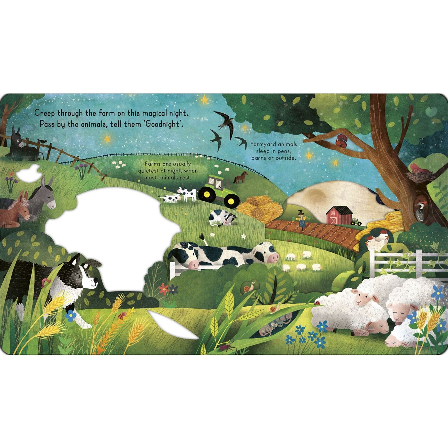 Goodnight Farm | Board Book | Children’s Book on Farm Animals