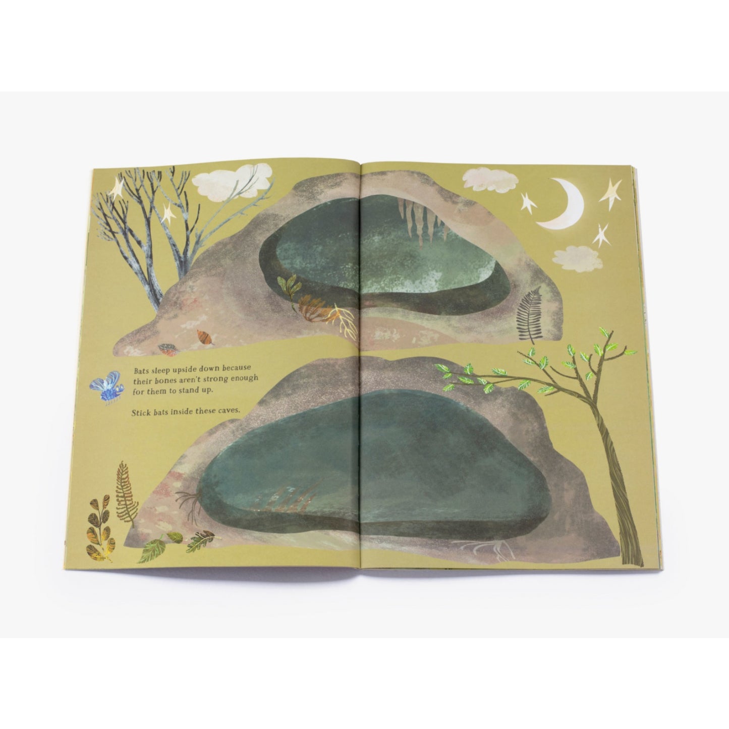 The Big Sticker Book of Beasts | Children's Activity Book on Nature