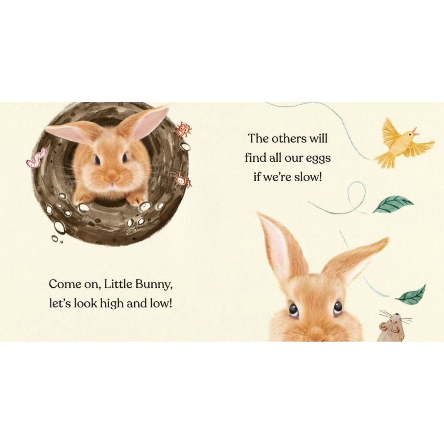 Happy Easter Little Bunny | Children's Books on Animals