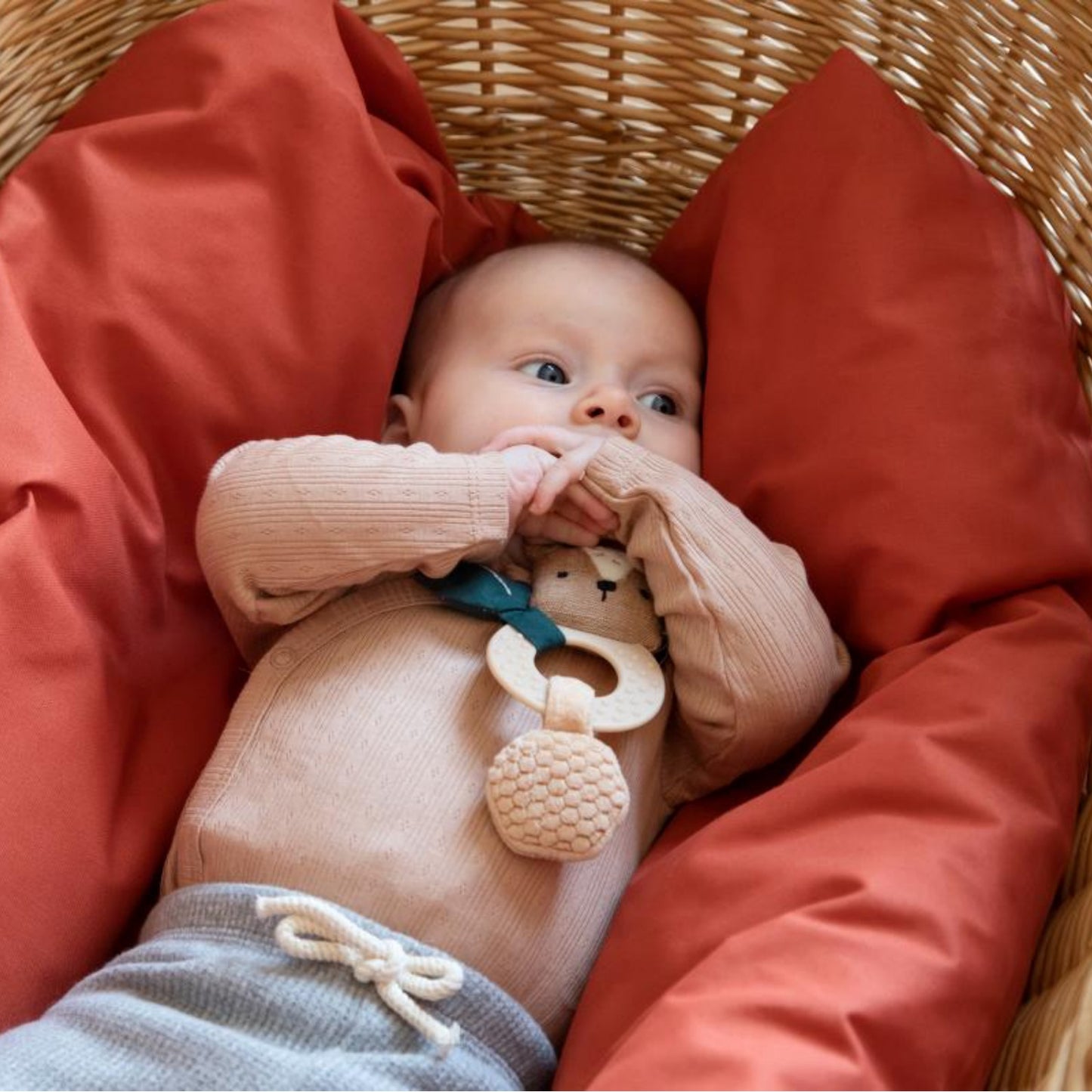 Sebra Milo The Bear | Rattle | Baby Activity Toy | BeoVERDE Ireland