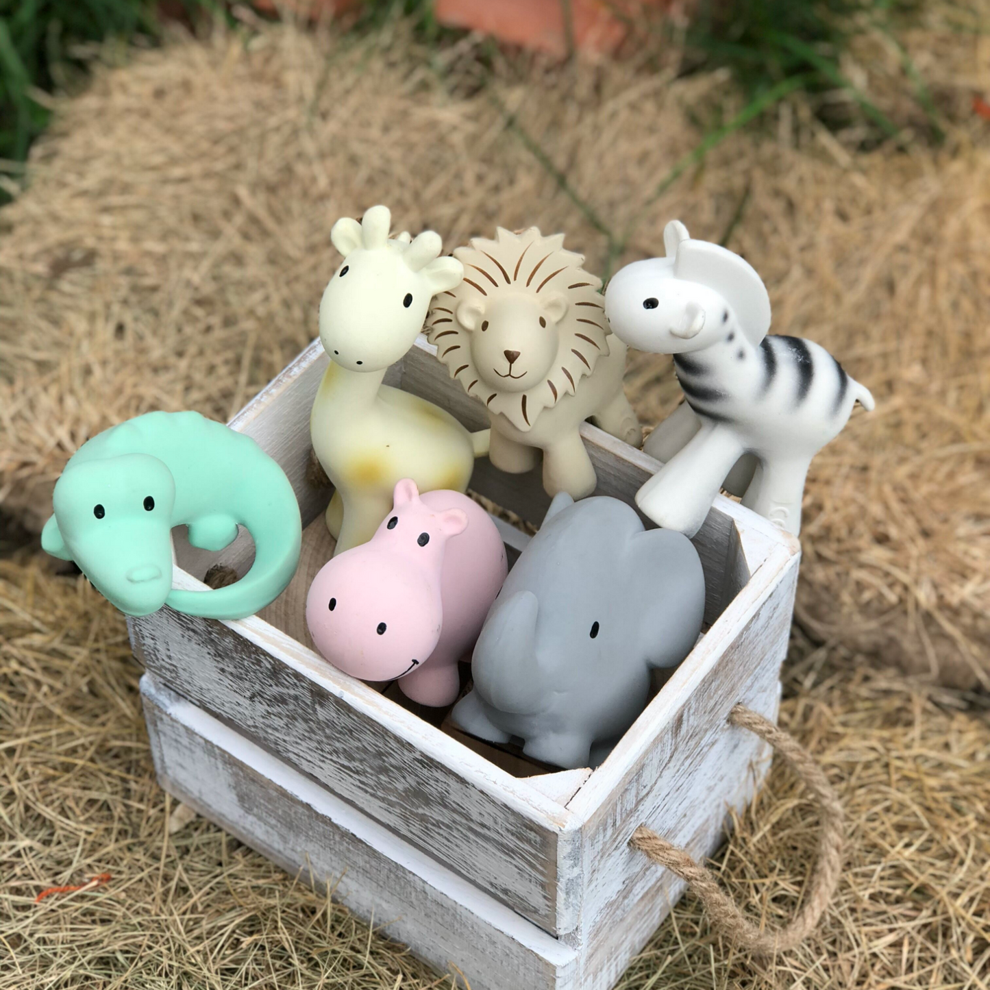 TIKIRI Natural Rubber Rattle & Bath Toy ‘Safari’ | Lifestyle Box | BeoVERDE.ie