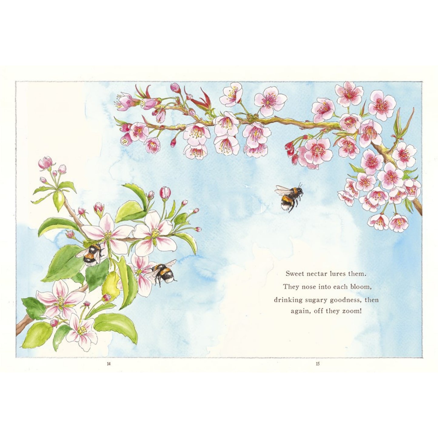It Starts with a Bee: Watch a Tiny Bee Bring the World to Bloom | Hardcover | Children's Book on Nature