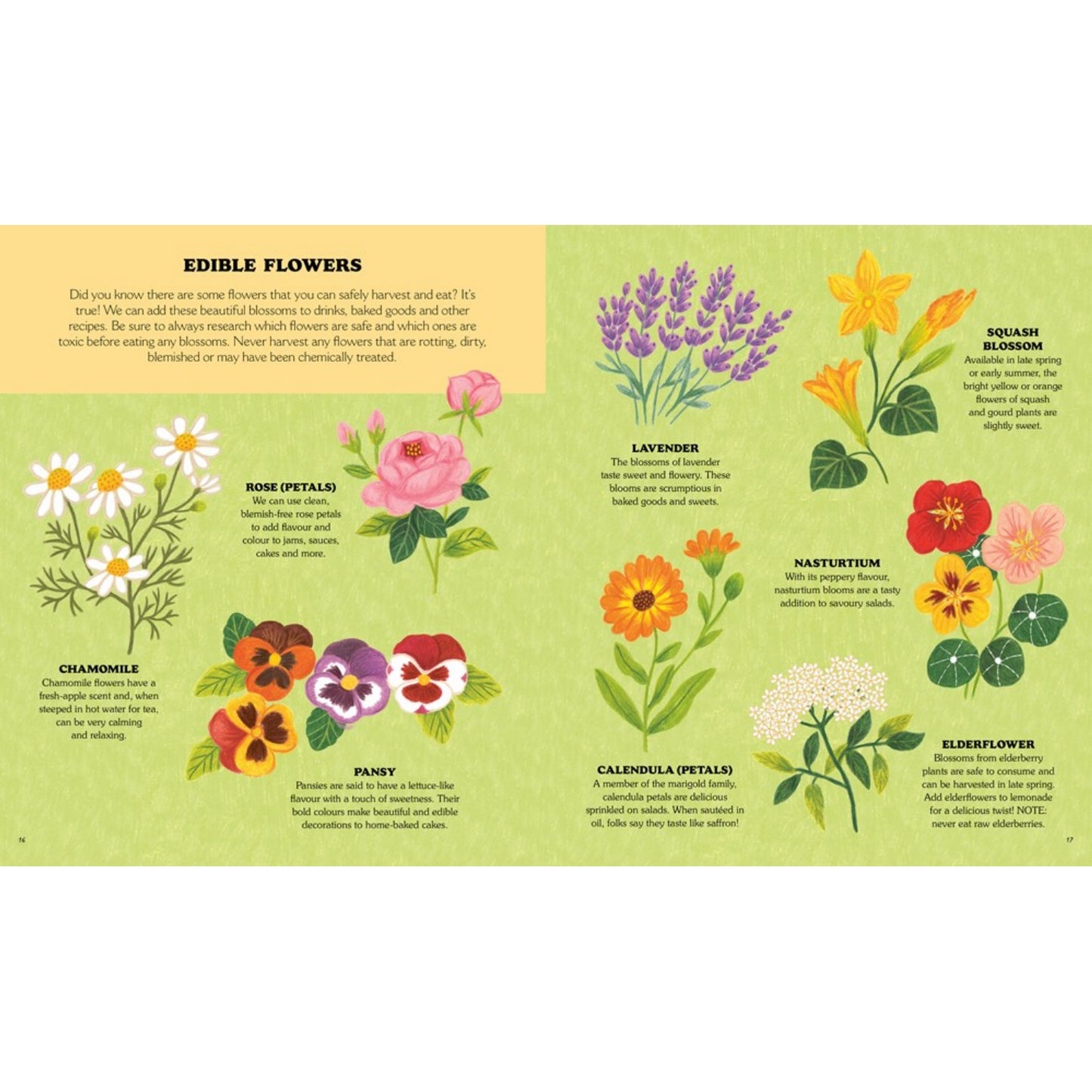 Little Country Cottage: A Spring Treasury of Recipes, Crafts and Wisdom | Paperback | Children’s Book on Nature