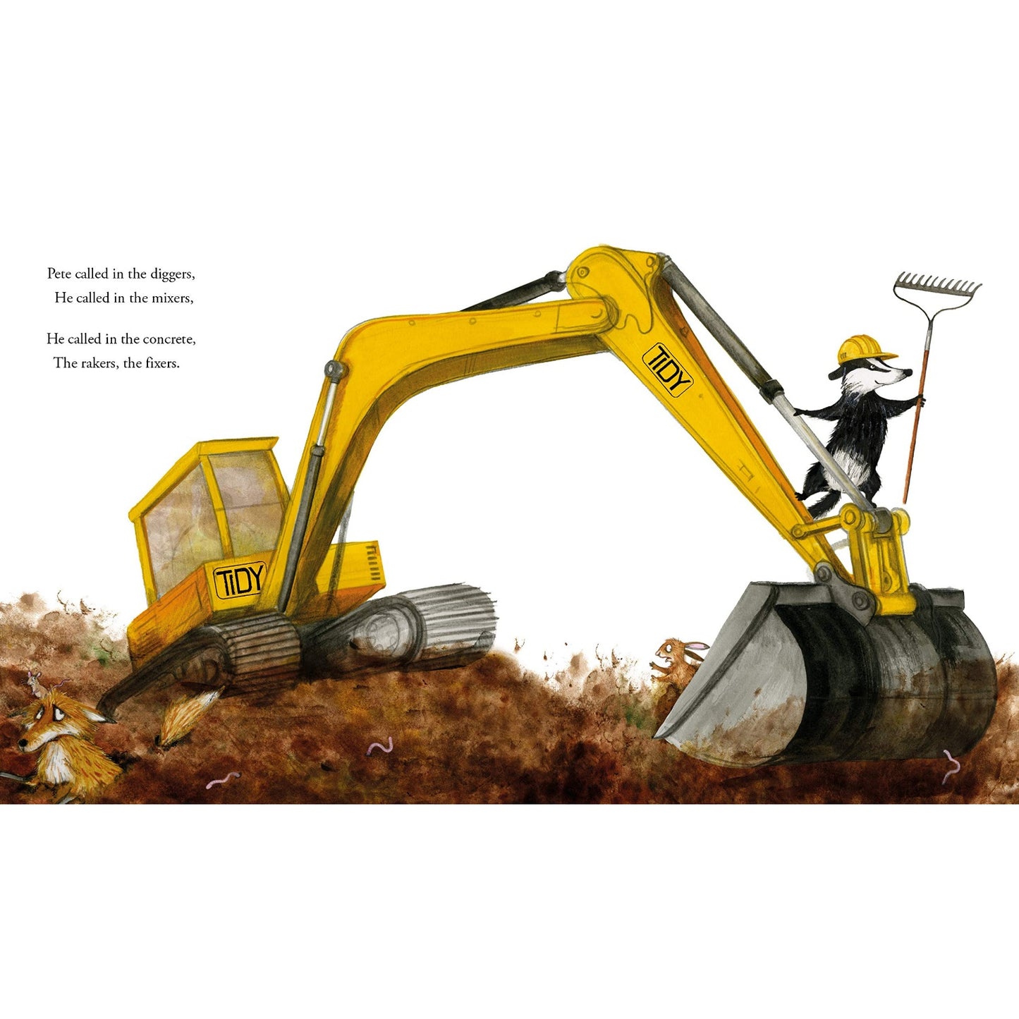 Tidy | Children's Picture Book on Protecting the Environment