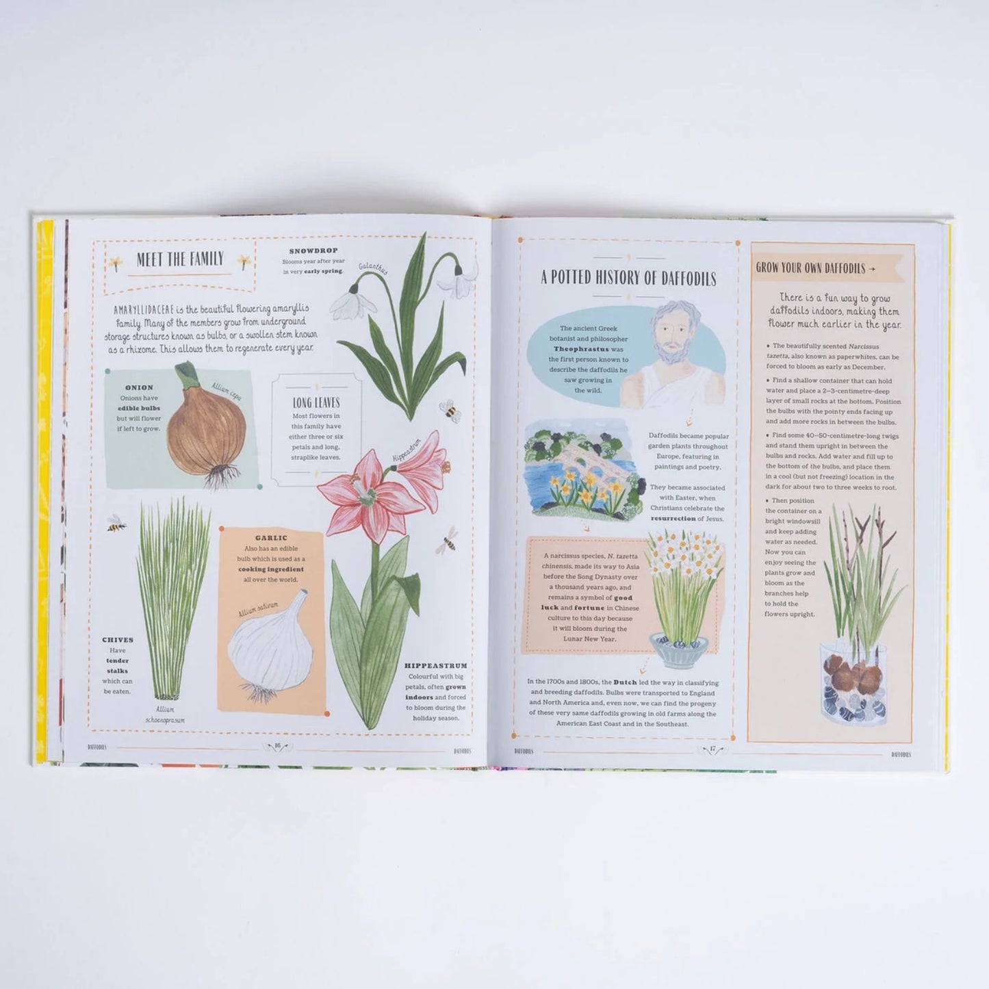 Grow: A First Guide To Plants & How To Grow Them | Hardcover | Children's Book on Gardening