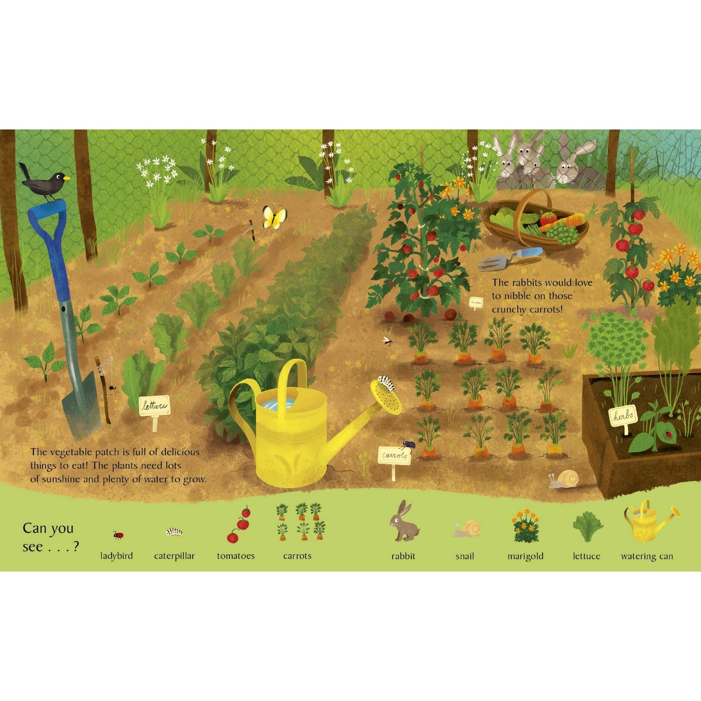 Look and Say What You See on the Farm | Children’s Book on Farm Life