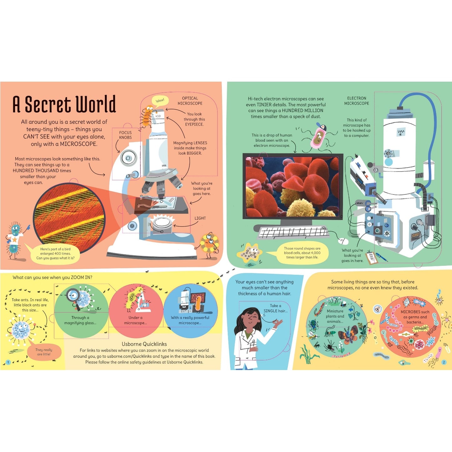 See Inside Microscopic World | Hardcover | Children's Book on Nature