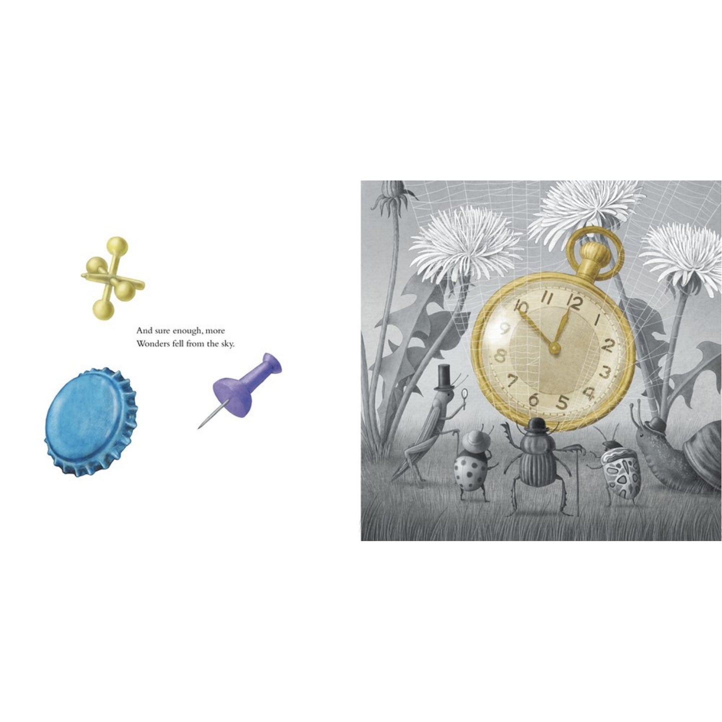 It Fell From The Sky | Hardcover | Children’s Book on Nature