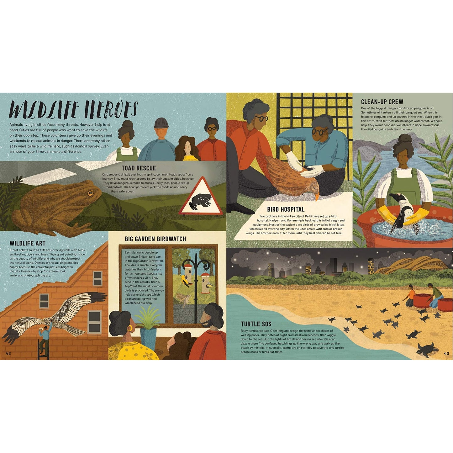 Wild City: Meet the Animals Who Share Our City Spaces | Hardcover | Children’s Book on Nature