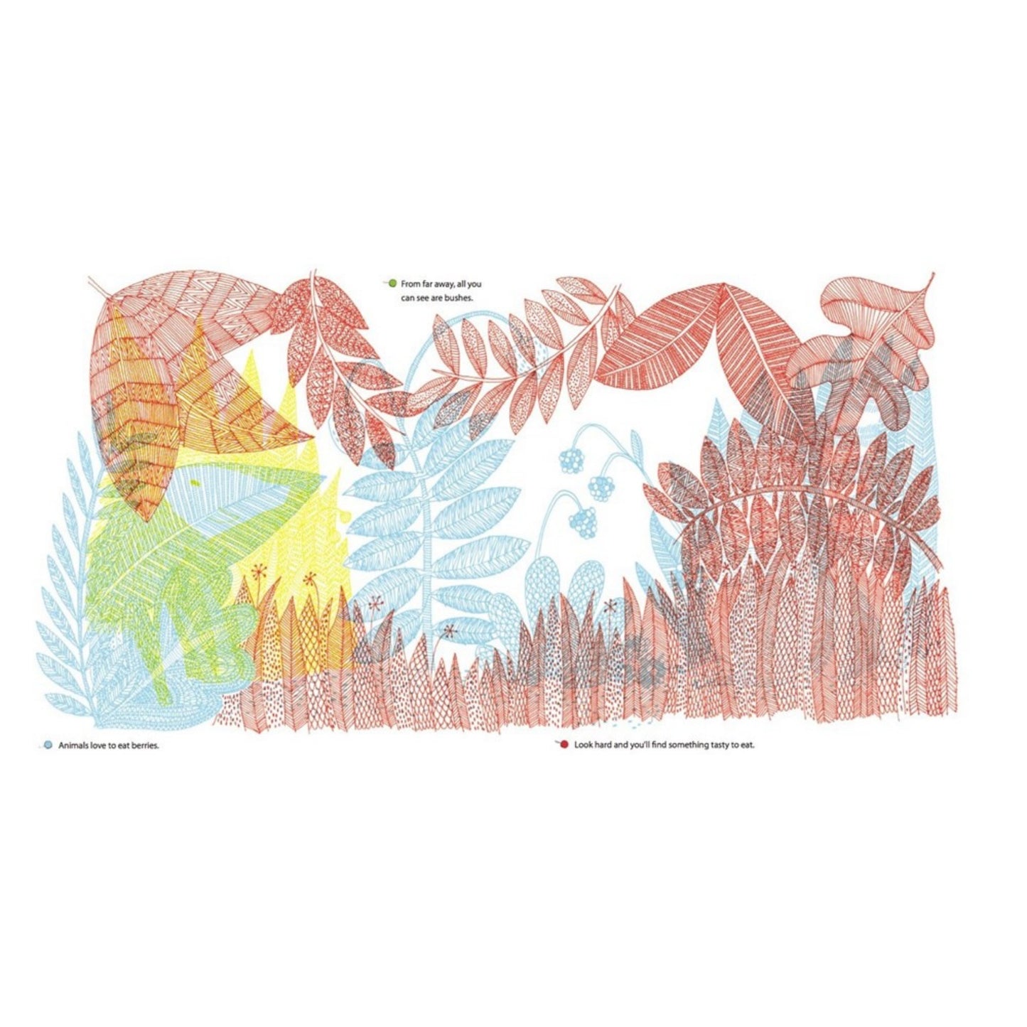 What's Hidden in the Woods? | Children's Activity Book on Nature