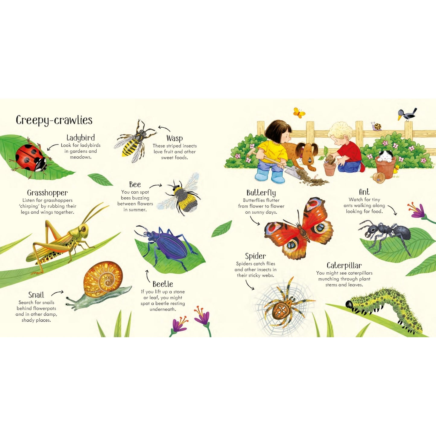 Poppy And Sam’s Nature Spotting Book | Hardcover | Children's Activity Book