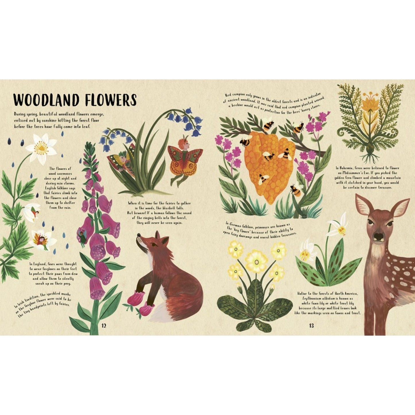 Lore of the Land: Folklore & Wisdom from the Wild Earth | Hardcover | Children’s Book on Tales and Stories