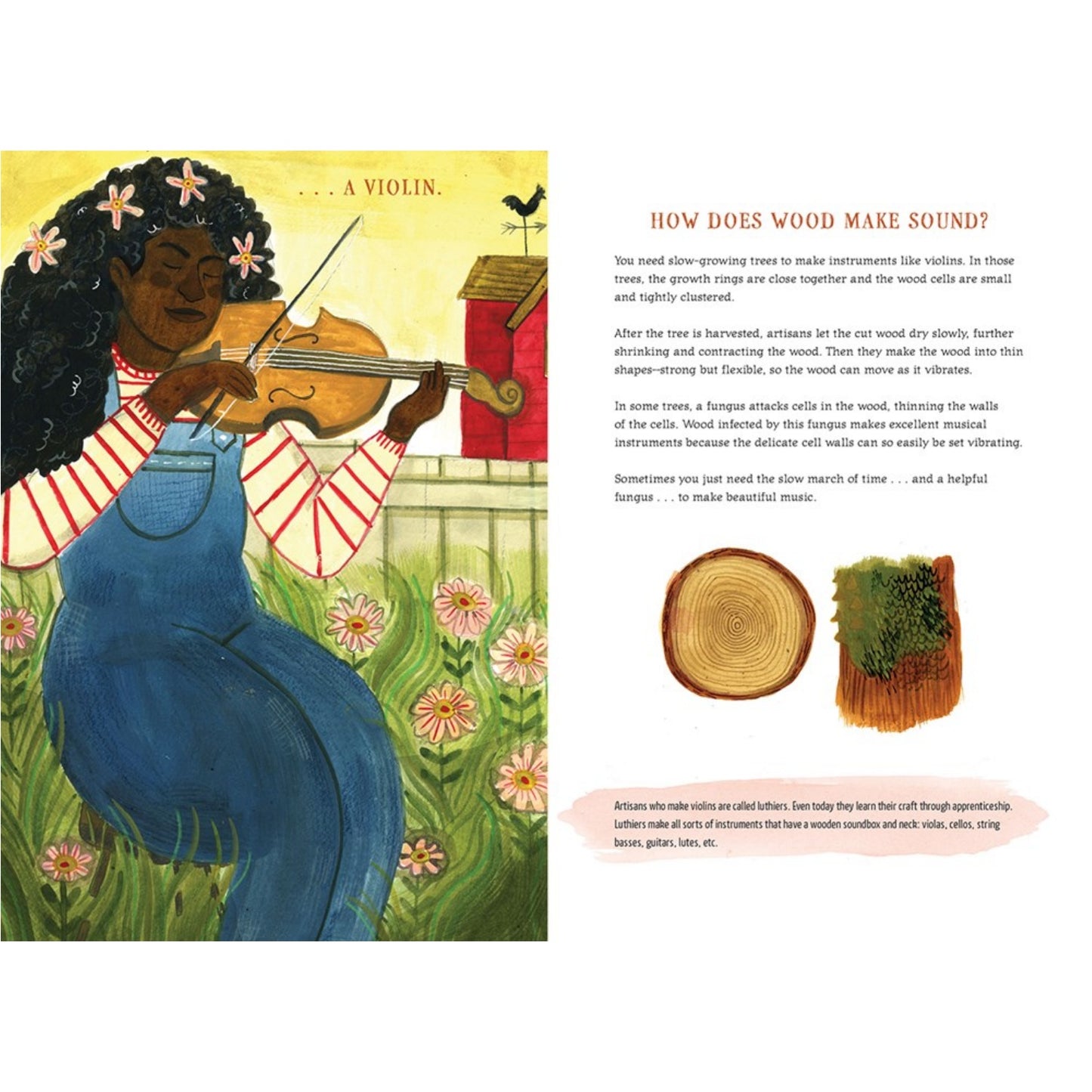 Before Music: Where Instruments Come From | Hardcover | Children’s Book on Music